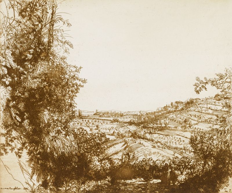 Olive Groves de Donald Shaw MacLaughlan, impresionismo, que representa olivos en colinas onduladas