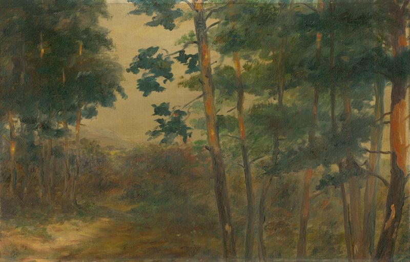 Forest view de Elemír Halász-Hradil, óleo sobre lienzo que muestra un follaje exuberante y luz filtrada.