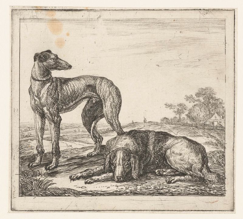 Dos perros descansando en drypoint de Simon de Vlieger