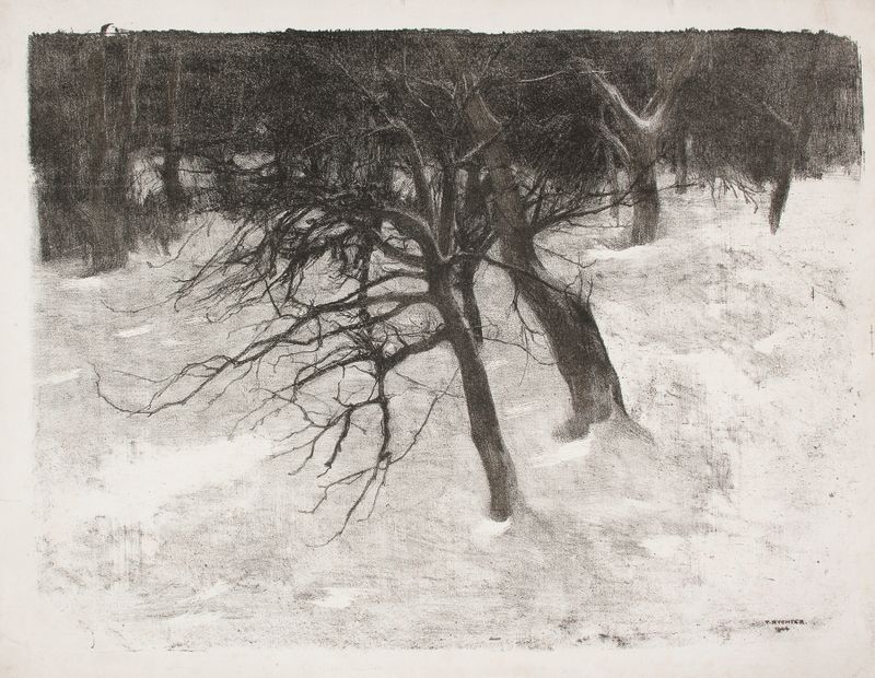 Paisagem de inverno com árvores cobertas de neve, pintura a óleo de Tadeusz Rychter