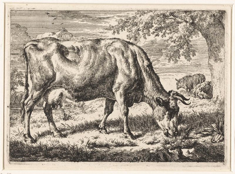Grabado de Adriaen van de Velde de una vaca pastando con dos ovejas en un paisaje pastoral.