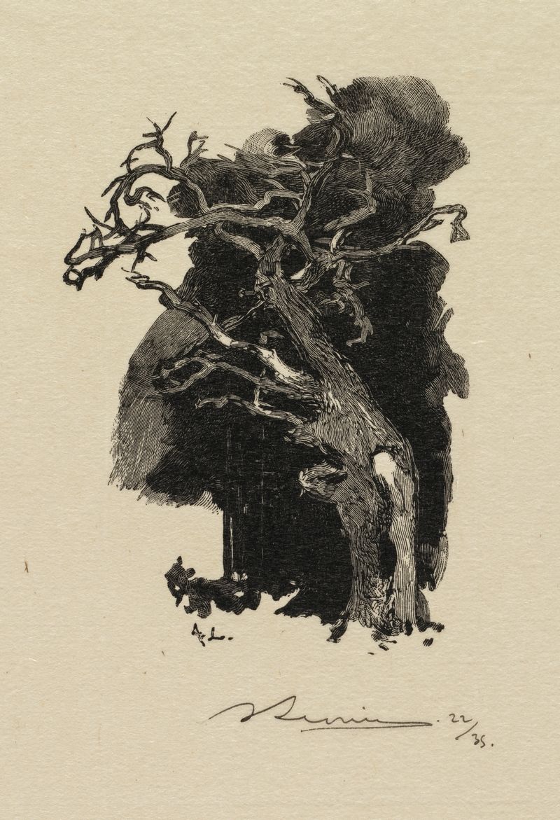 Grabado de Auguste Louis Lepère que representa formas caóticas y colores profundos.