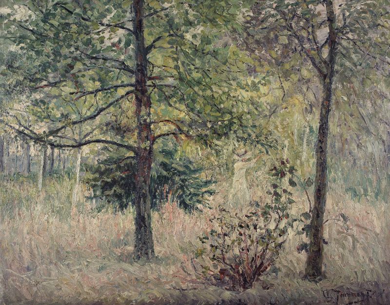 Forest Landscape de Clémence Jonnaert, óleo sobre lienzo que representa árboles y luz filtrándose entre las hojas.