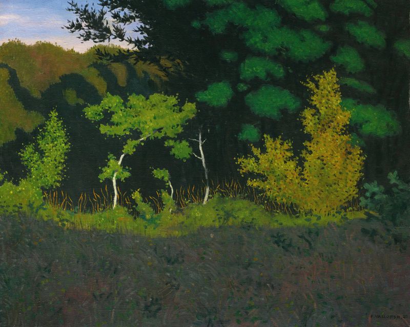 Edge Of The Wood by Félix Vallotton, oil painting depicting a serene forest scene with light filtering through foliage.