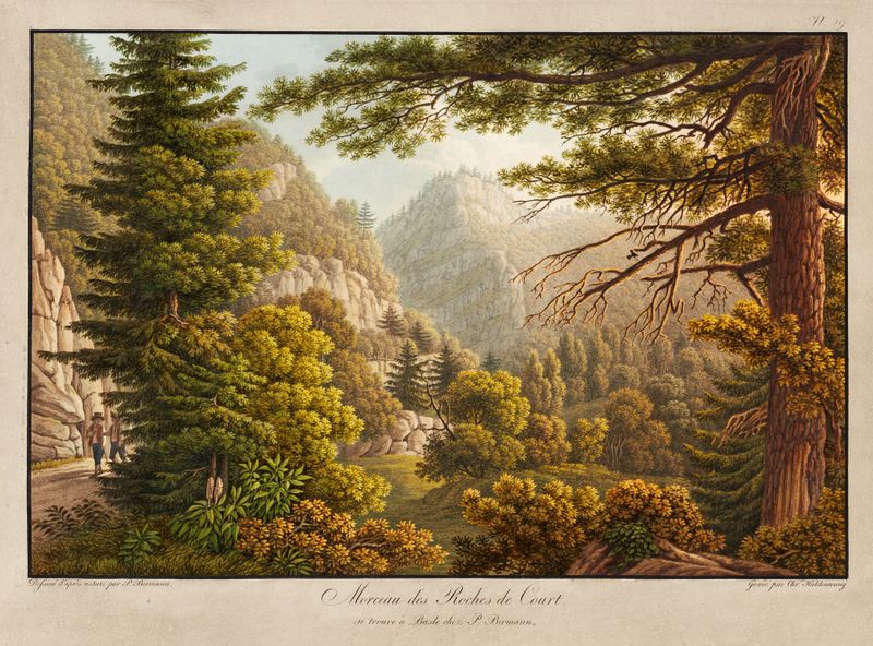 Morceau des Roches de Court, óleo sobre lienzo de Peter Birmann, que representa aguas tranquilas y reflejos.