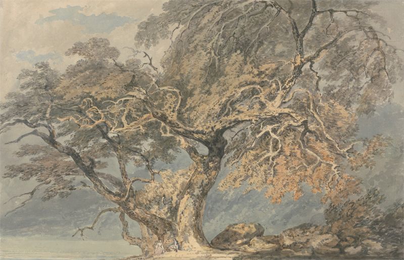 A Great Tree de Joseph Mallord William Turner, óleo sobre lienzo que muestra un árbol solitario en un paisaje.