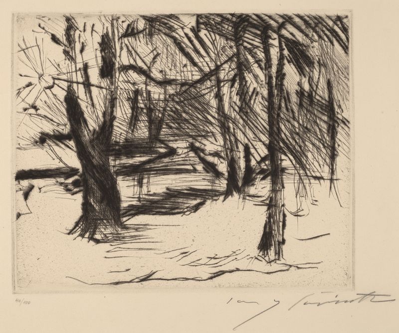 Árvores com o Sol de Lovis Corinth, óleo sobre tela, retratando uma paisagem de inverno com luz solar.