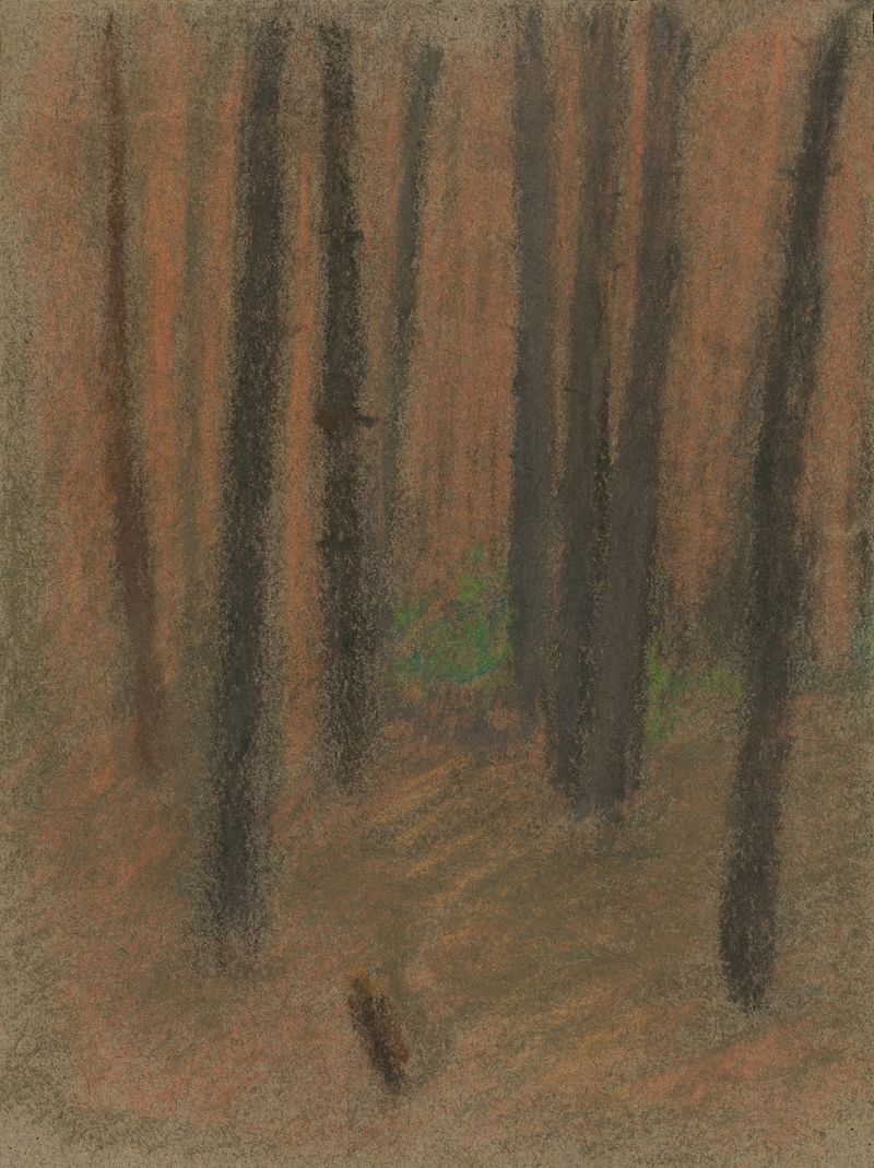 Forest de Ladislav Mednyánszky, óleo sobre tela que retrata uma floresta exuberante com luz e sombra.