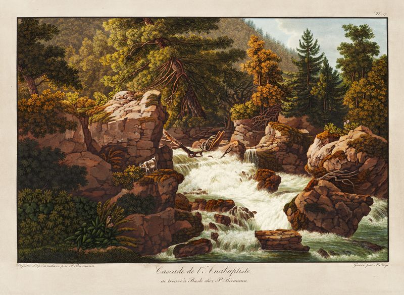 Cascade de l’Anabaptiste de Peter Birmann, óleo sobre tela representando uma cascata tranquila.