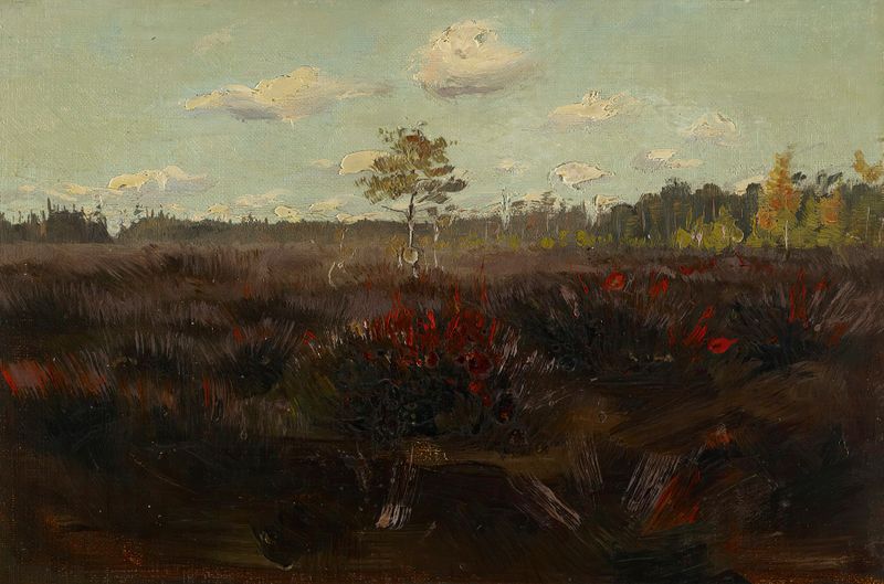 Bog in Lapland by Torsten Wasastjerna, oil on canvas depicting a tranquil marshland with reflections.