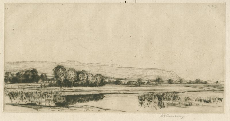 Paisagem com luz e sombra em The Frews de David Young Cameron, Impressionismo