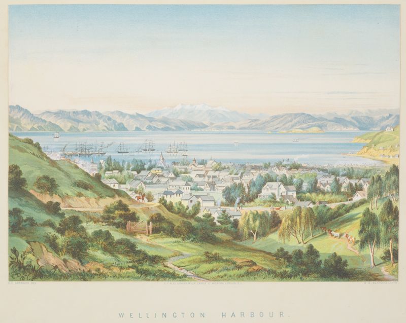 Wellington Harbour by Charles Decimus Barraud, realism, depicting a tranquil marine landscape.