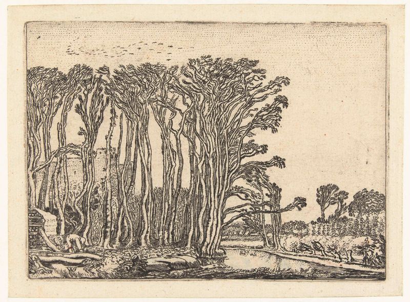 Landschap met kale bomen aan een water, grabado de Willem Pietersz Buytewech
