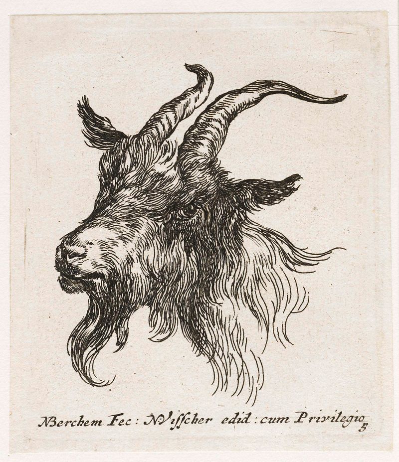 Gravura da cabeça de uma cabra de Nicolaes Pietersz Berchem