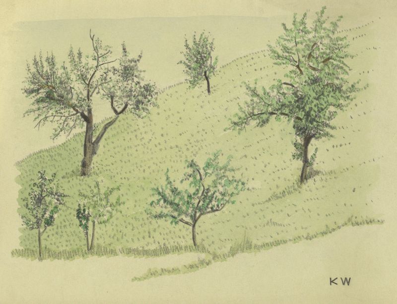 Landscape with trees and hills, oil painting by Karl Wiener