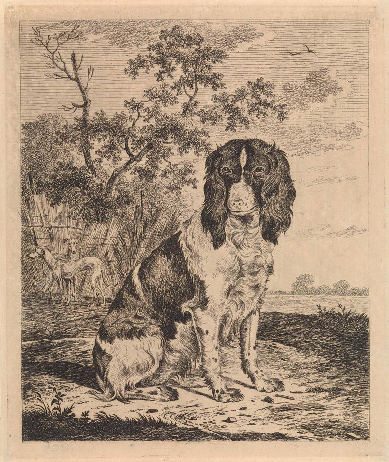Etching of a seated dog by Pieter Janson, depicting loyalty and companionship