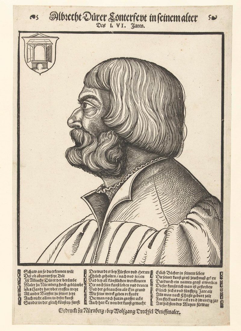 Retrato de Albrecht Dürer, papel, de Albrecht Dürer