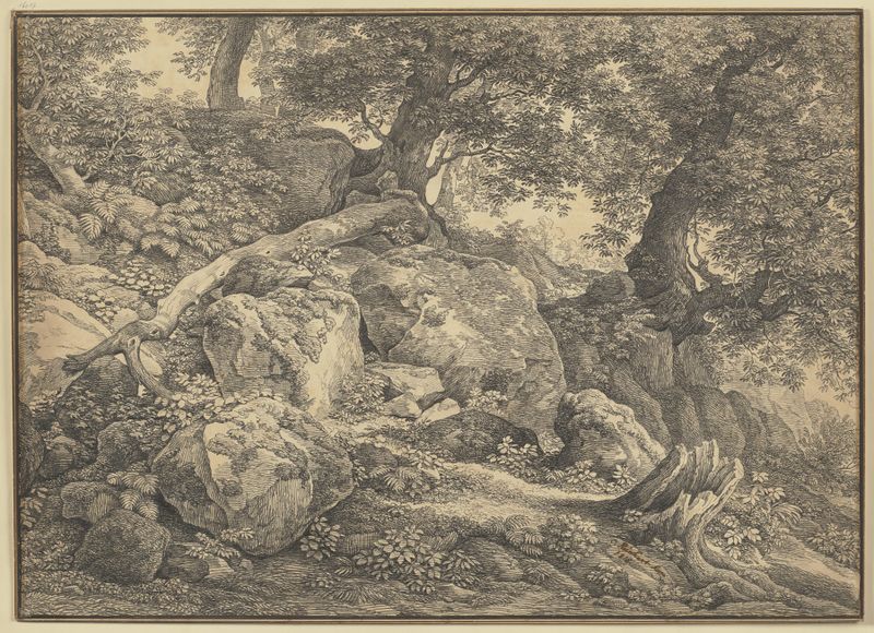 Paisaje con olivos y rocas, óleo sobre lienzo de Johann Christian Reinhart