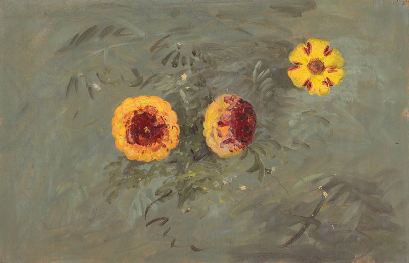 Zinnias óleo de Unknown Artist, con flores vibrantes en colores ricos.