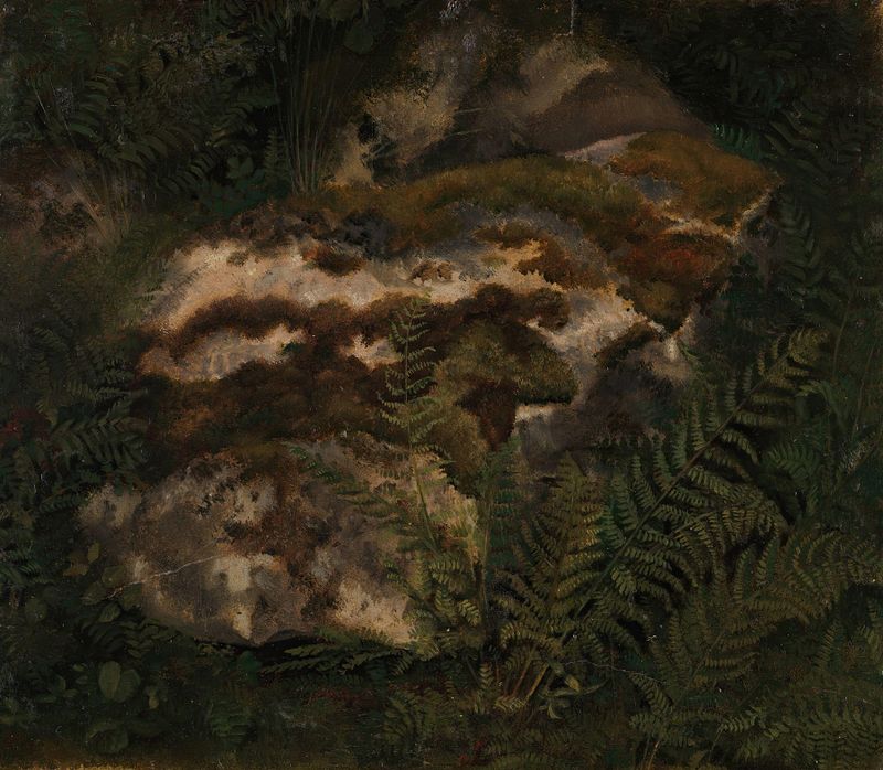 Estudio de una piedra cubierta de musgo y helechos de Adolph Tidemand, que muestra musgo, piedra y helechos