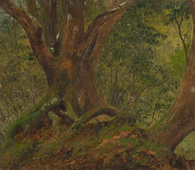 Cena de floresta com luz do sol, óleo sobre tela de Frederic Edwin Church