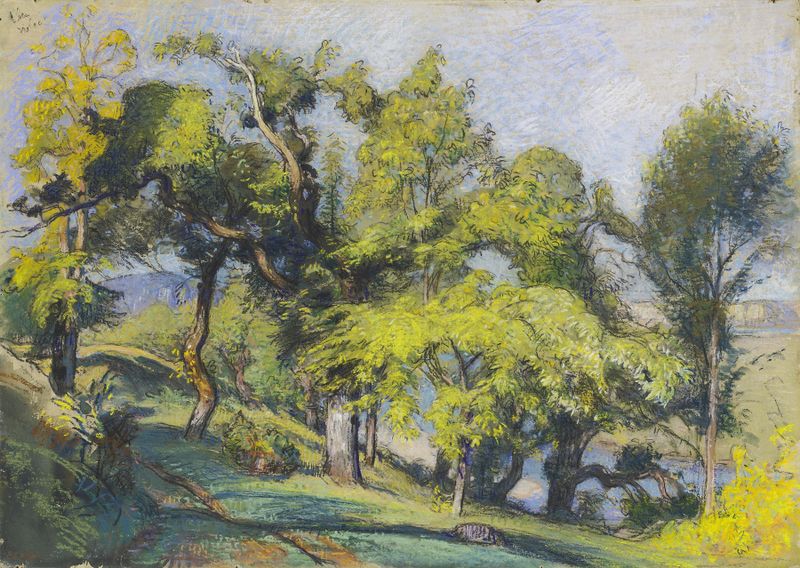 Castanheiros acima de um rio, gravura de Auguste Louis Lepère