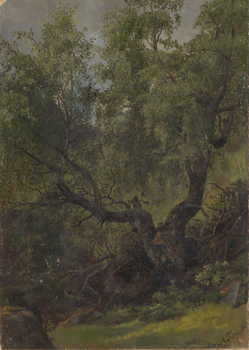 Forest Study from Numedal de Adolph Tidemand, pintura a óleo que retrata uma floresta tranquila com luz filtrada.
