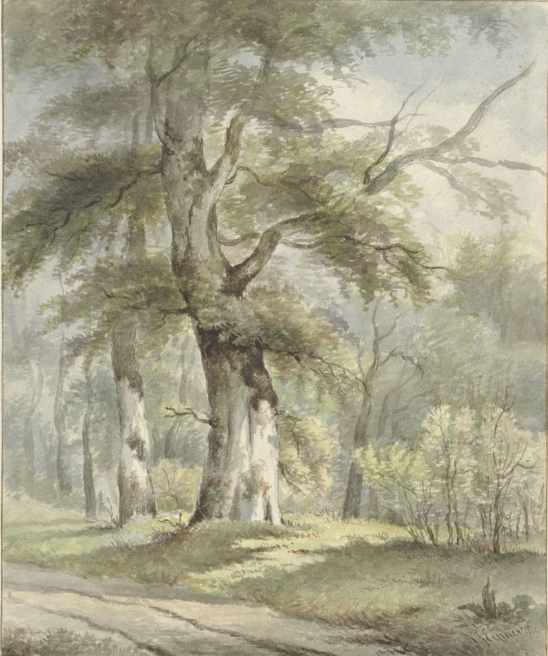 Landscape featuring rolling hills and forest, oil on canvas by Arnoldus Johannes Eymer