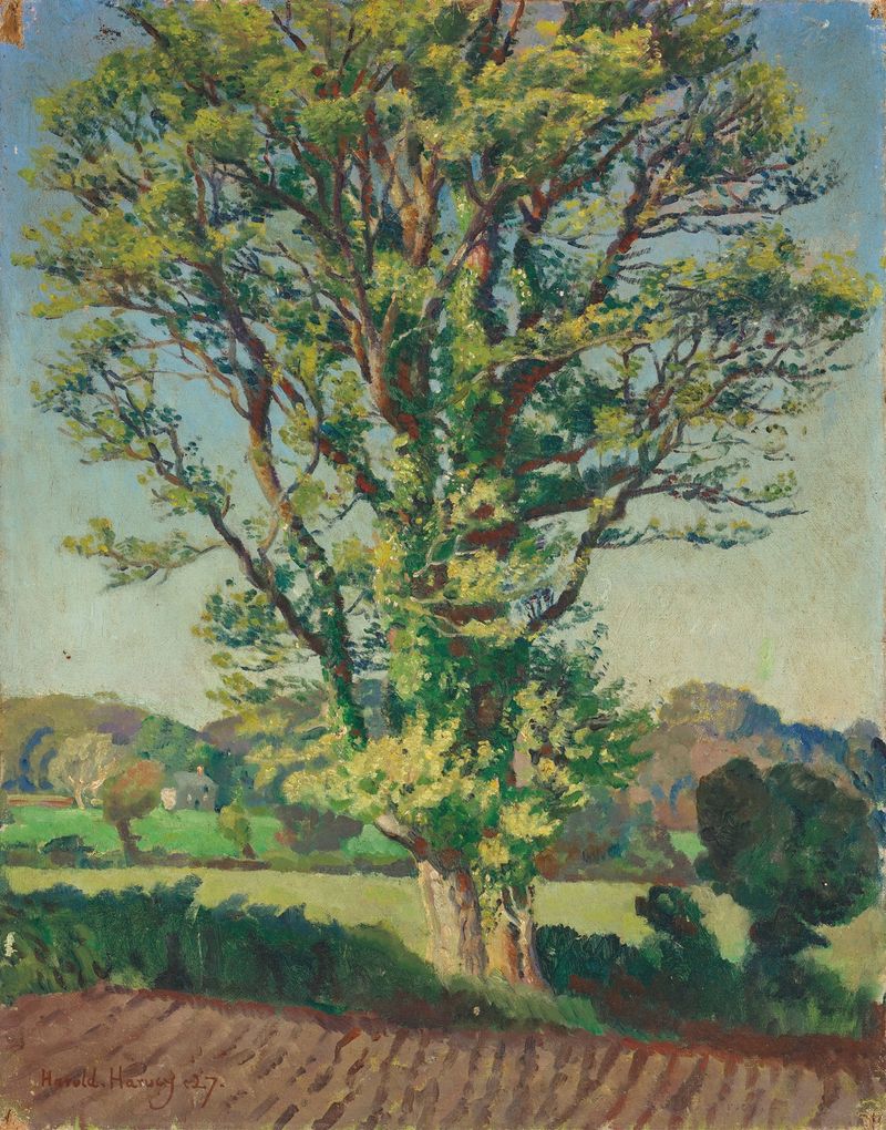 Paisaje con un árbol de olmo, pintura al óleo de Harold Charles Francis Harvey