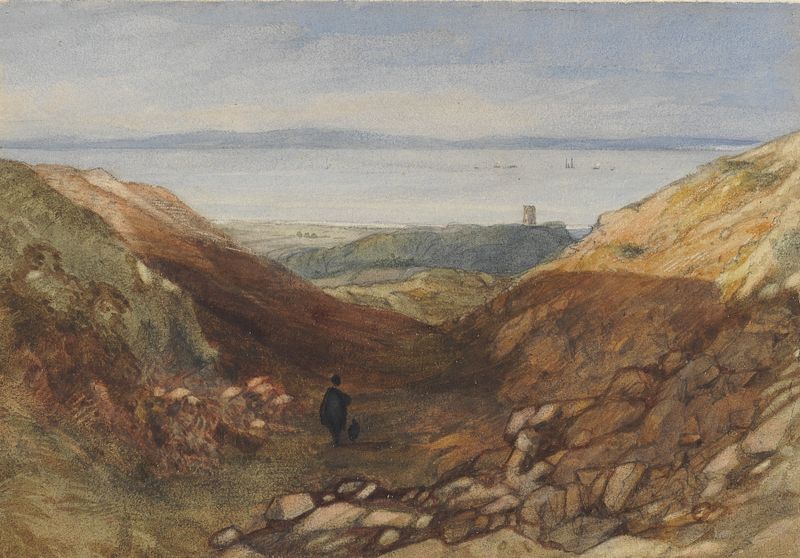Ink on paper drawing by Rev. James Bulwer featuring a landscape with intricate details and shadows.
