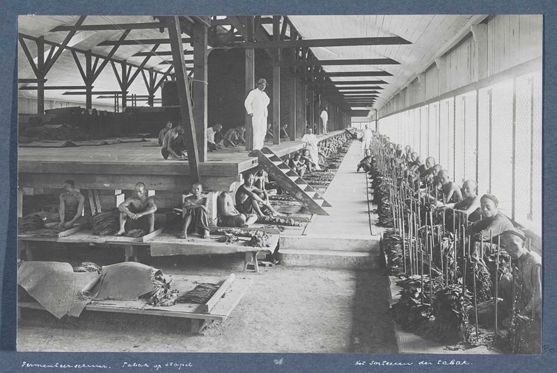 Escena interior de trabajadores contratados en impresión de gelatina plateada de Carl J. Kleingrothe