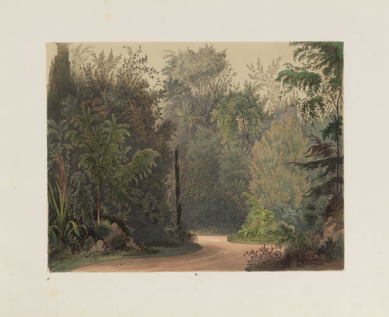 Interior scene of a winter garden with light illuminating foliage by Franz Antoine