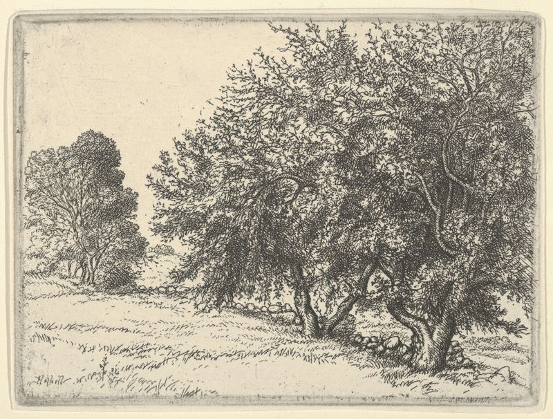 Manzanos de Ernest Haskell, paisaje impresionista con luz solar y fruta.