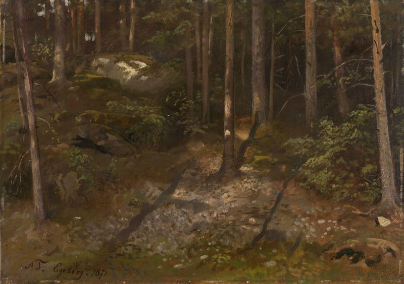 Forest Study by Adolph Tidemand, oil on canvas depicting lush foliage and a towering canopy.