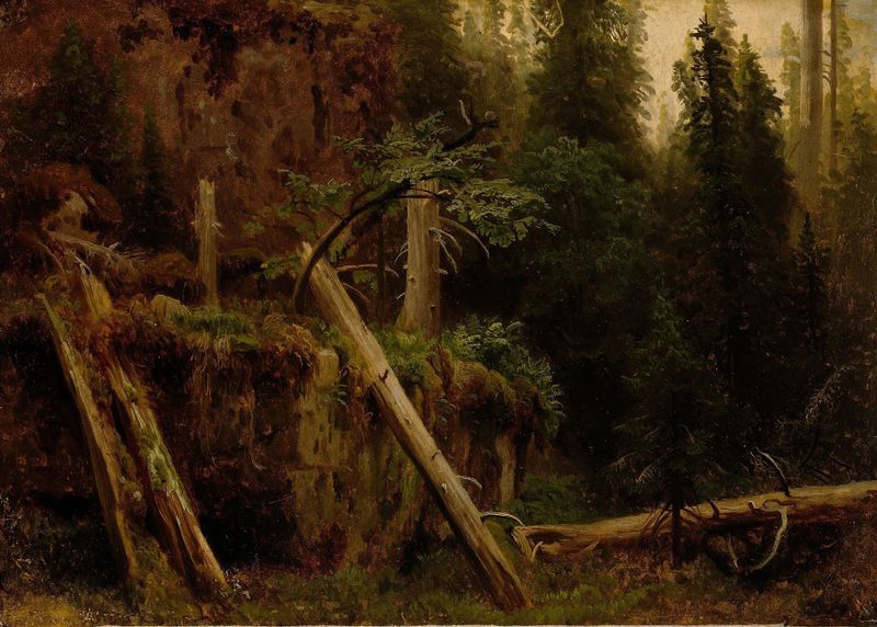 Landscape Study with decaying trees de August Cappelen, óleo sobre lienzo