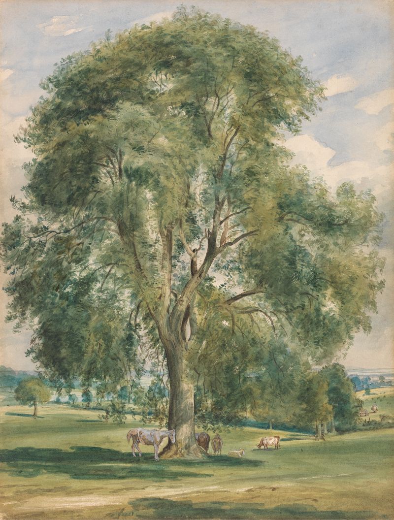 A large tree and a horse in a summer landscape, oil on canvas by Lionel Constable