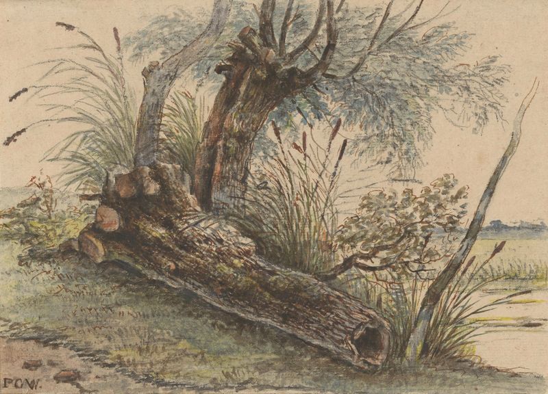 Paisagem com juncos verdes de George Pieter Westenberg, pintura a óleo