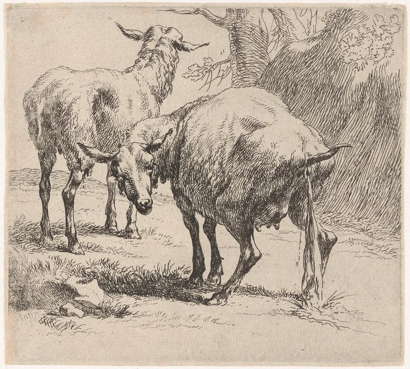 Paisaje pastoral con ovejas, grabado de Nicolaes Pietersz Berchem