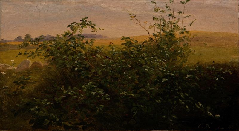Hedge with blackberry de Carlo Dalgas, pintura al óleo que muestra moras y follaje.