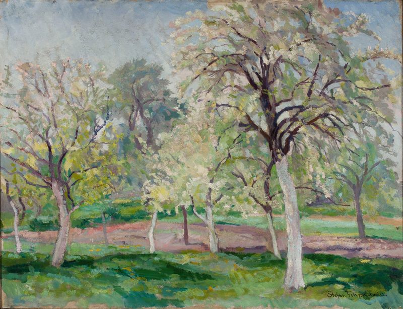Orchard in bloom, oil on canvas by Stefan Filipkiewicz
