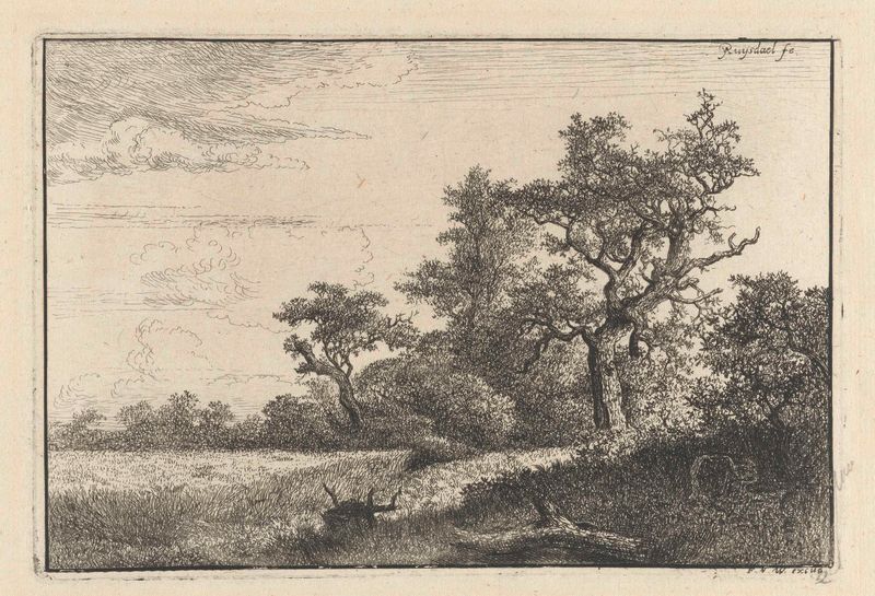 Gravura de Jacob Isaacksz van Ruisdael representando um campo de trigo dourado