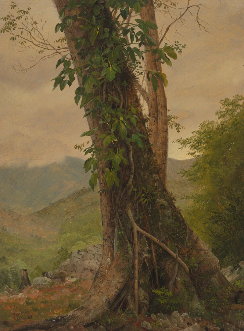 Árbol con vides iluminado por la luz del sol, óleo sobre lienzo de Frederic Edwin Church