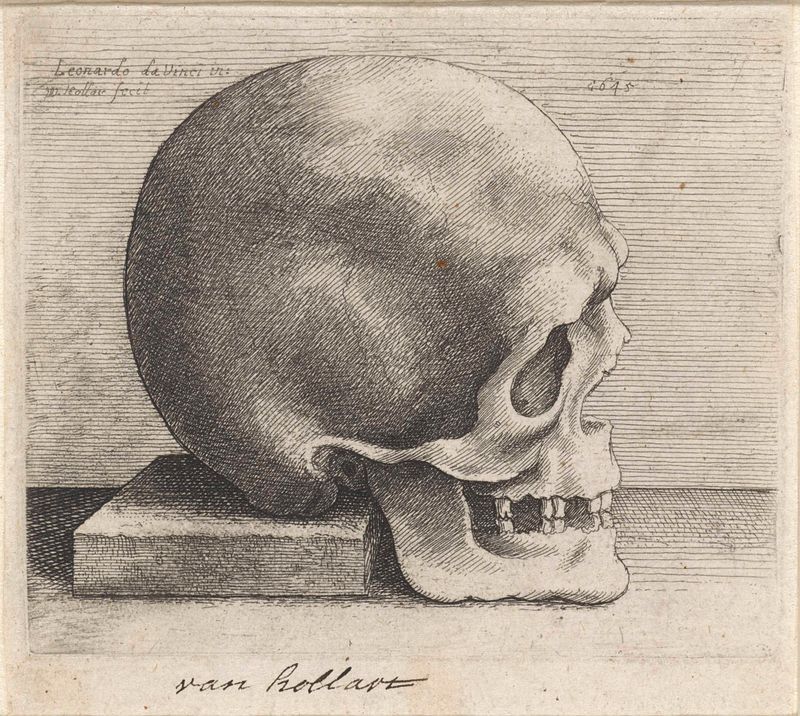 Grabado de Wenceslaus Hollar que representa un cráneo con iluminación de claroscuro.