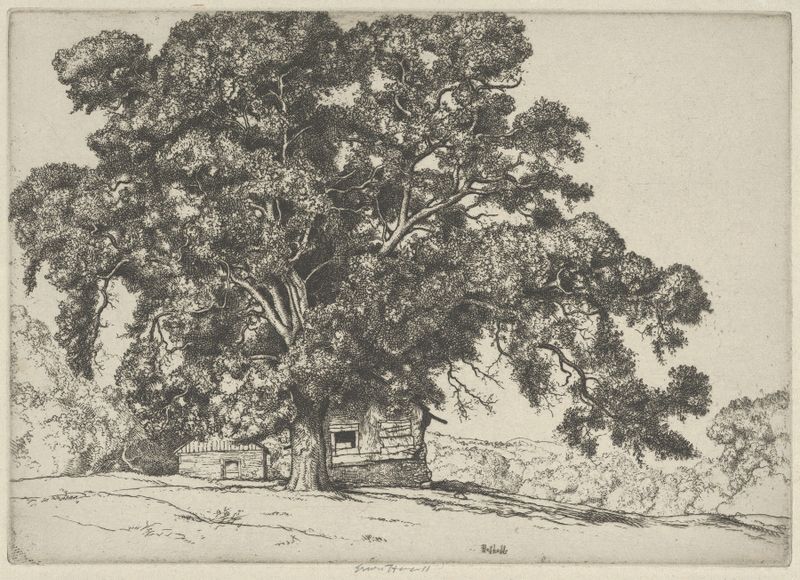 The Oak and the Adobe, aquarela sobre papel de Ernest Haskell, apresentando um carvalho e uma estrutura de adobe.