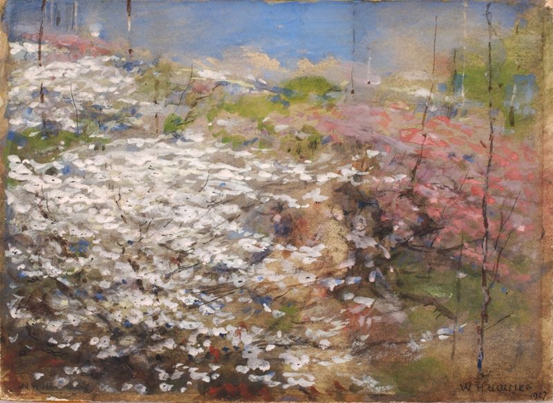 Field Of Blossoms acuarela de William Henry Holmes que representa flores coloridas y naturaleza
