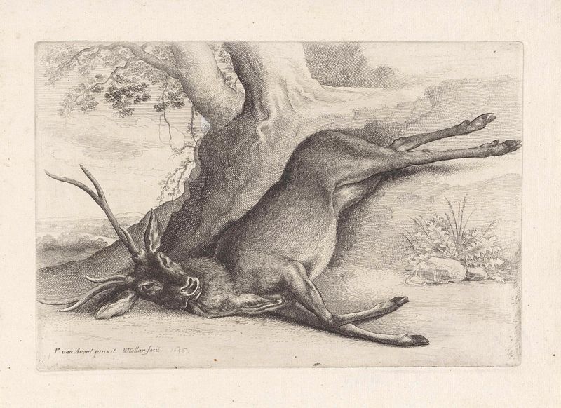 Grabado de Wenceslaus Hollar que representa un ciervo caído en un entorno natural.