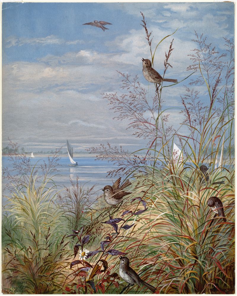 Watercolour by Fidelia Bridges depicting a landscape with autumn foliage and golden light.