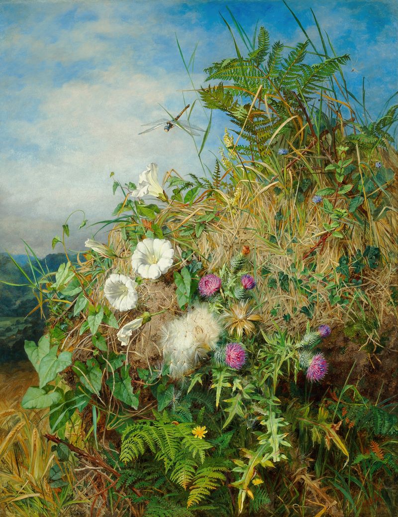 Flores silvestres em um campo de milho, óleo sobre tela de Martha Darley Mutrie