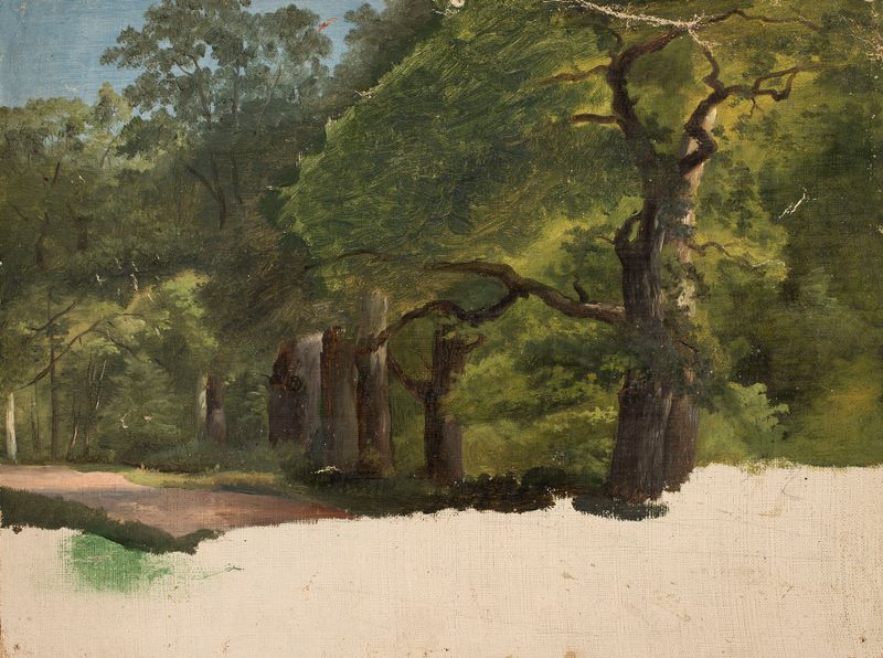 Forest landscape sketch by Chrystian Breslauer, capturing nature's tranquility.