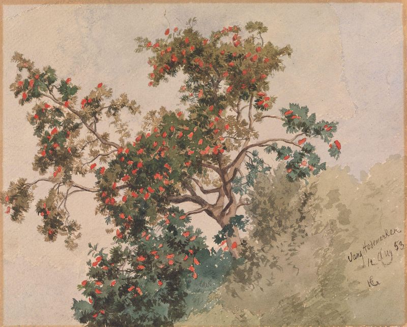 Rognebærtre, Vang de Hans Gude, óleo sobre tela representando árvores de rowan e colinas.